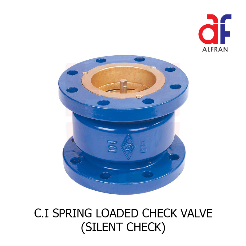 spring check valve